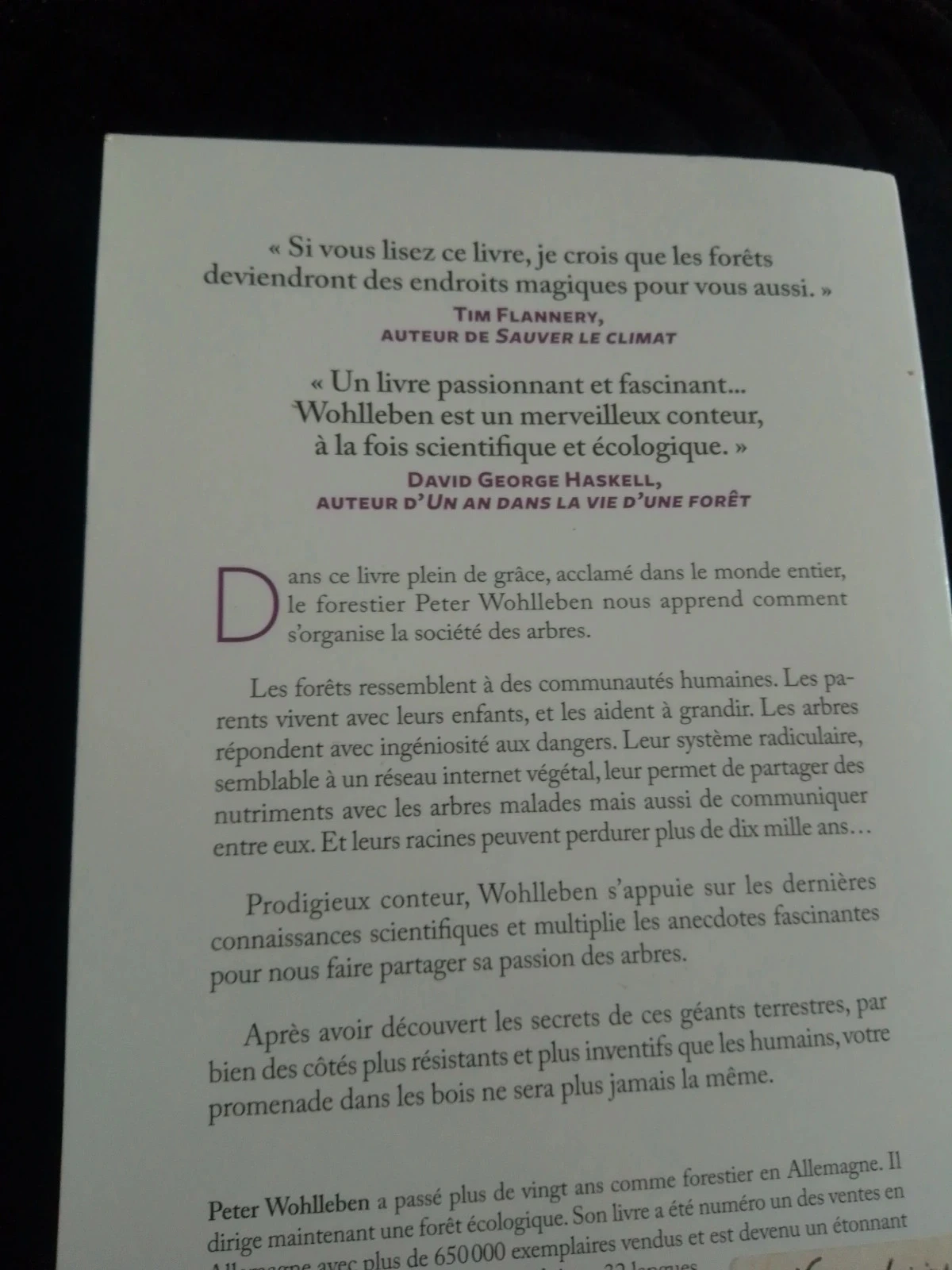 La vie secrète des Arbres – photo 2